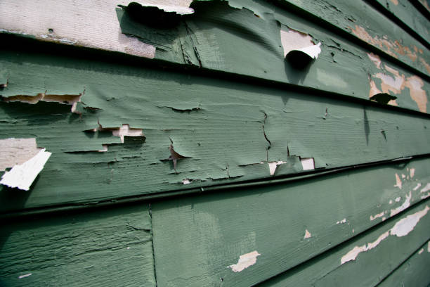 Best Property Management Cleanouts  in Chadwicks, NY